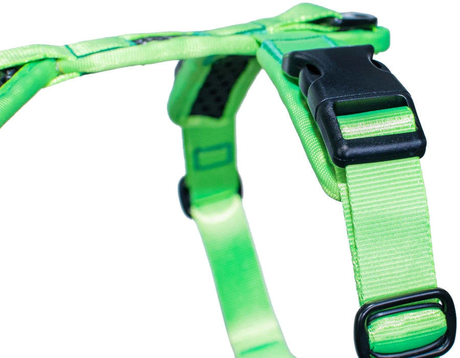 SOFTY Geschirr
