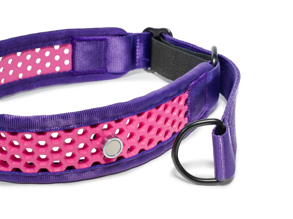 Zugstopp Halsband